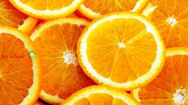 قیمت پرتقال مرغوب در کشور