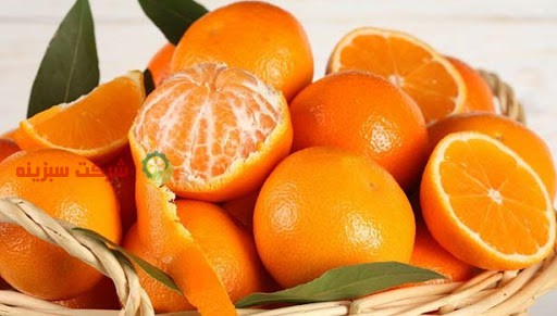 قیمت نارنگی ژاپنی در میدان بار