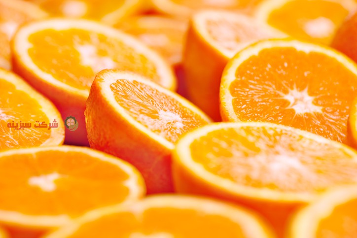 بهترین قیمت روز پرتقال تامسون