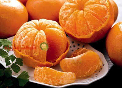 بهترین قیمت نارنگی