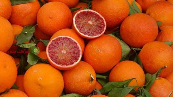 فروش عمده پرتقال خونی صادراتی