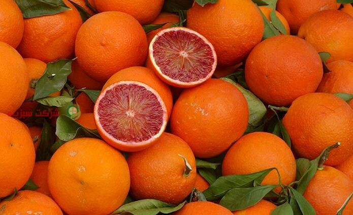 فروش عمده پرتقال خونی صادراتی