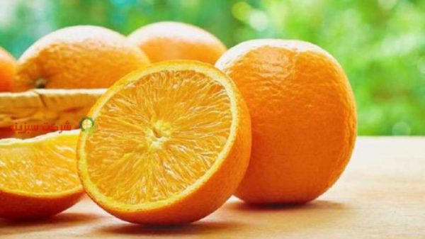 قیمت روز بهترین پرتقال شمال