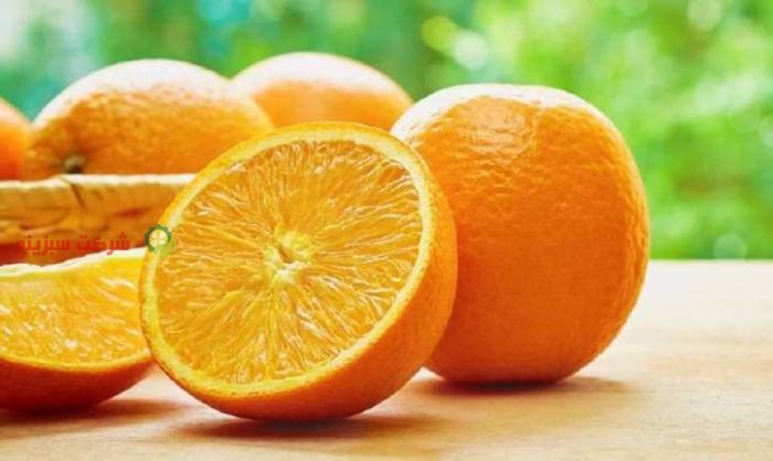 قیمت روز بهترین پرتقال شمال