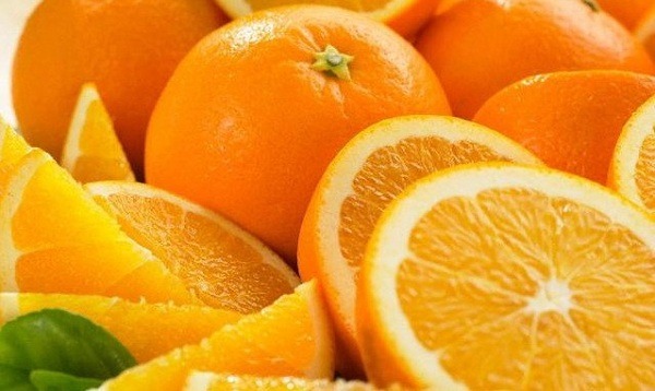 پرتقال شمال جهت صادرات