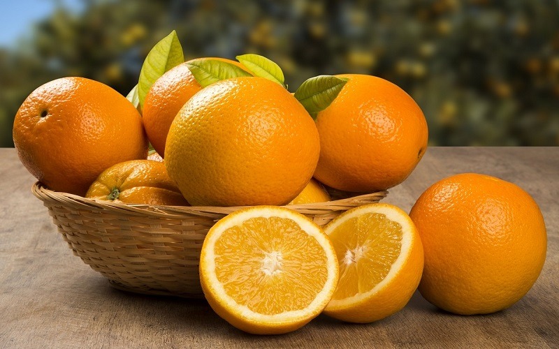 فروش پرتقال کوهی مازندران