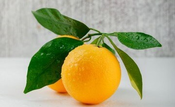 فروش پرتقال کوهی مازندران