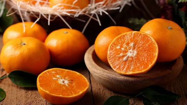 قیمت جدید پرتقال در قائمشهر
